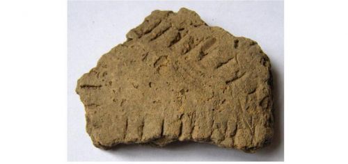 Фрагмент стенки сосуда. Подлинник. Прикамье. IV тыс. до н.э. - VIII в. н.э. Глина, шамот, ручная лепка. 33х22х7 мм.