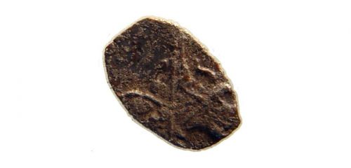 Монета-чешуйка (2)
